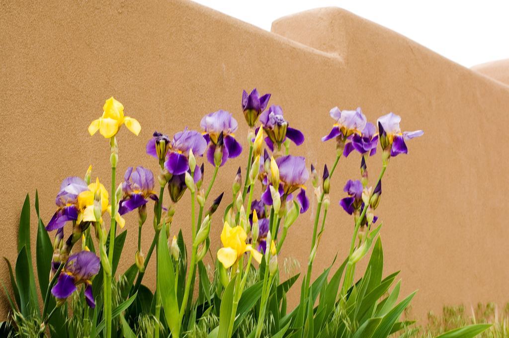Fort Marcy Suites By All Seasons Resort Lodging Σάντα Φε Εξωτερικό φωτογραφία